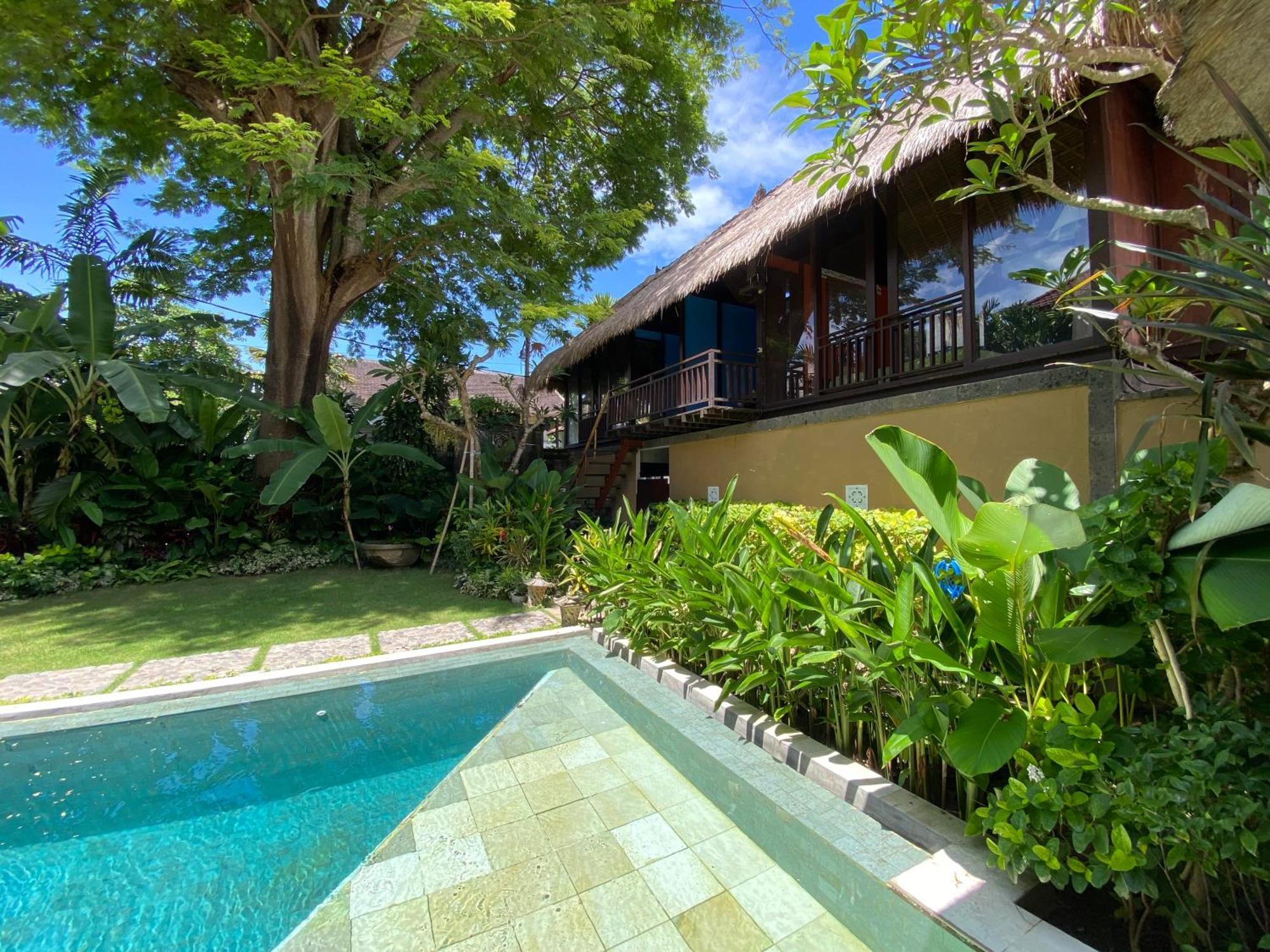 فندق Little Tree House سانور الغرفة الصورة